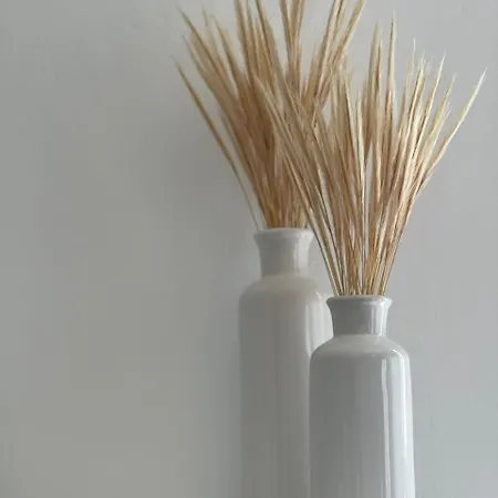 Gemelos Cozy Megali Ammos (Mykonos)