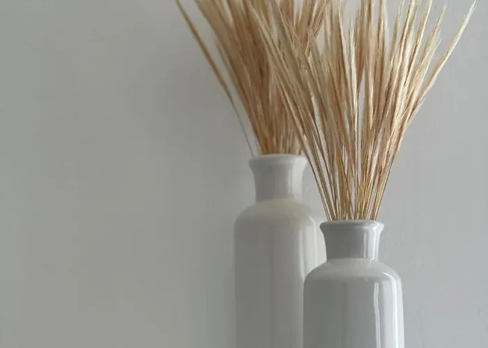 Gemelos Cozy 스키아토스타운